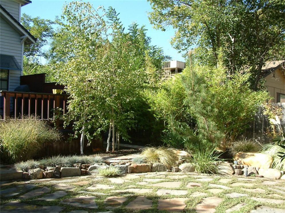 Back Patio Flagstone