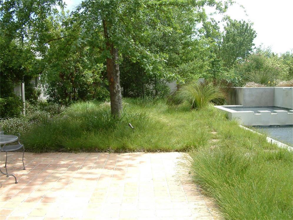 Cornflower Back Patio