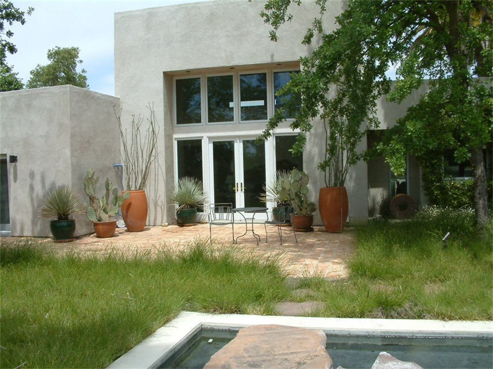 Looking Back to the Patio