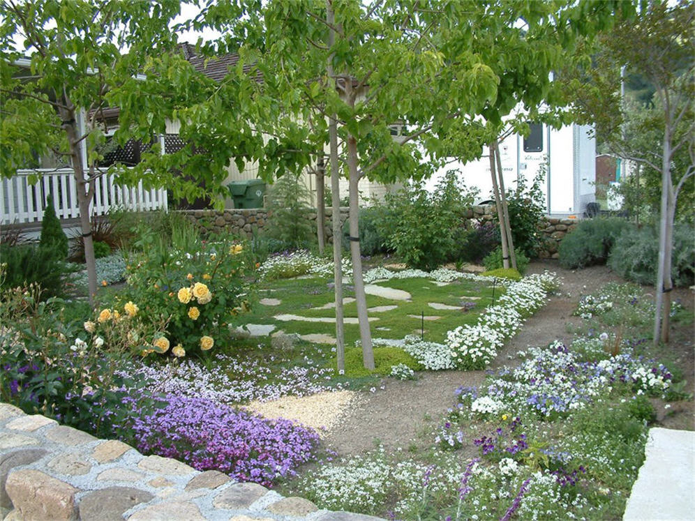 Walled Backyard Garden