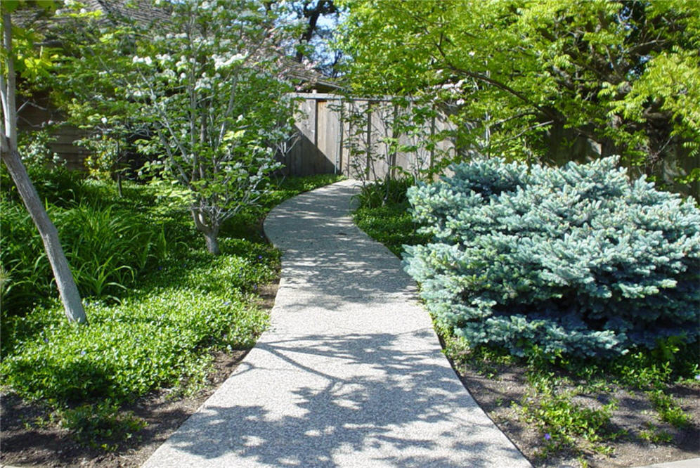 Aggregate Concrete Residential Walk