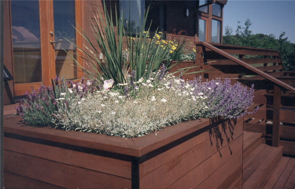 Redwood Planter and Deck