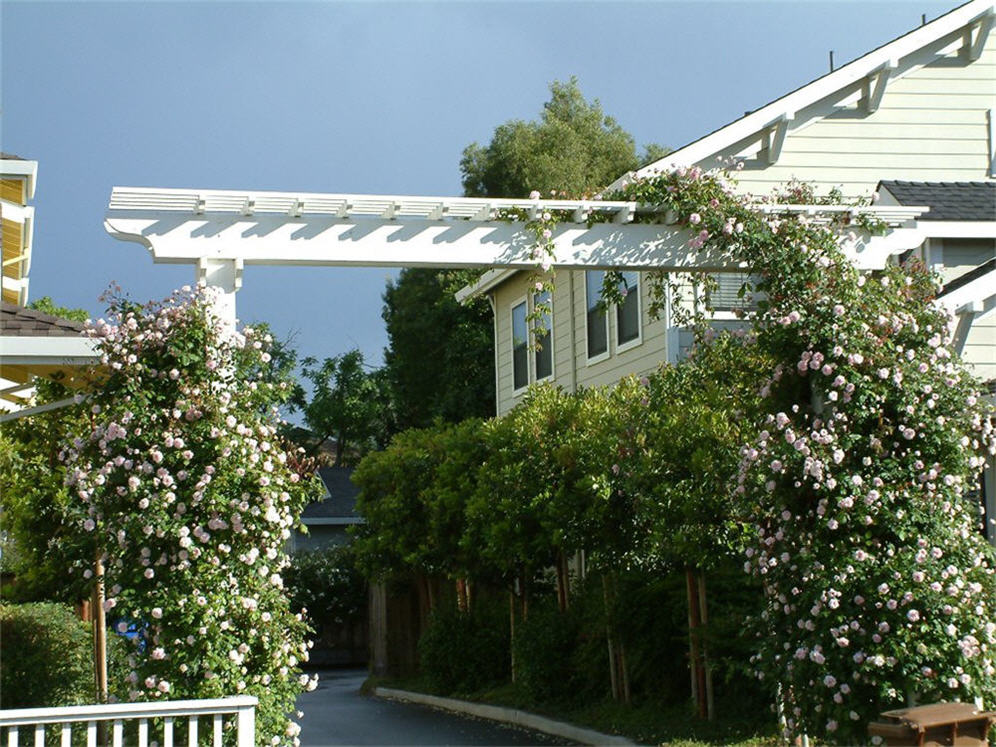 Driveway Half Trellis