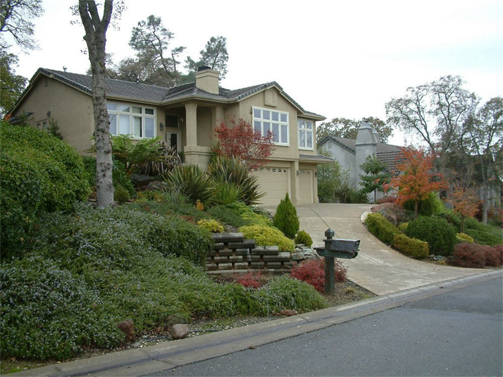 Hillside Shrub Plantings Front