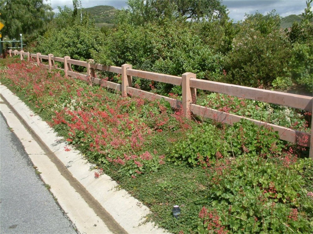 Roadside Planting