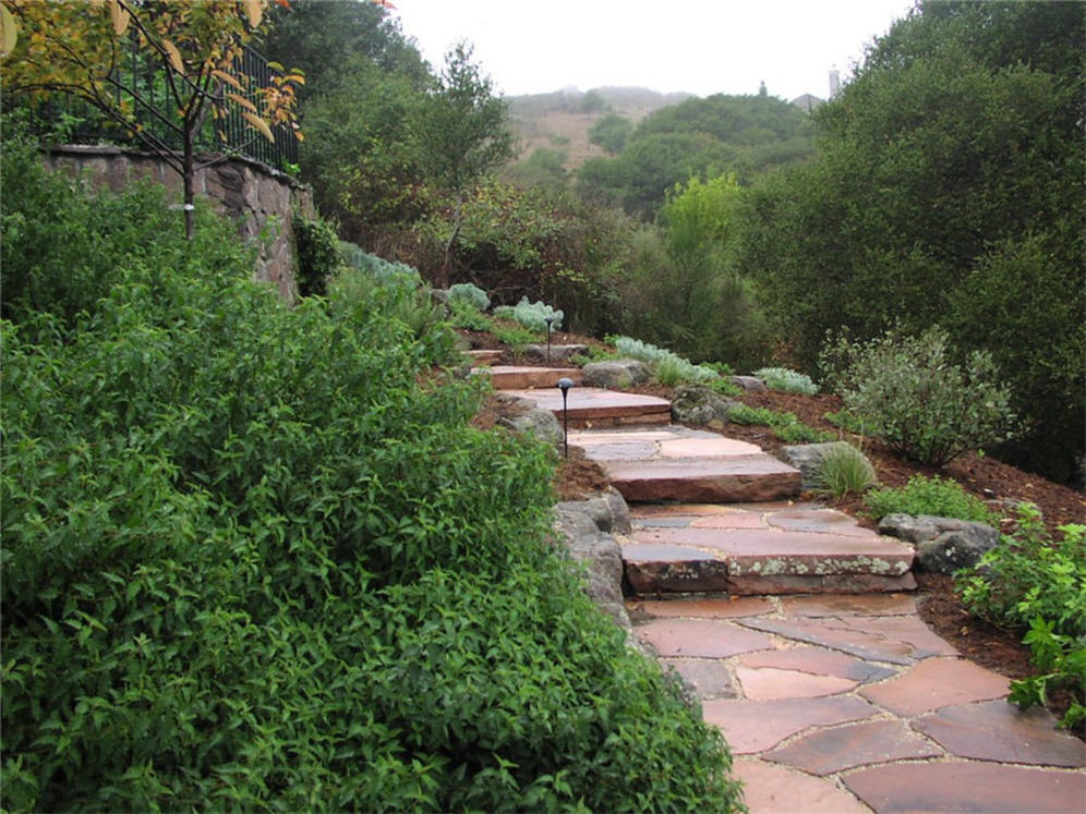 Winding Flagstone Walk