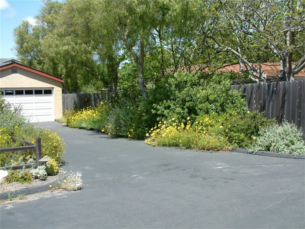 Native Driveway