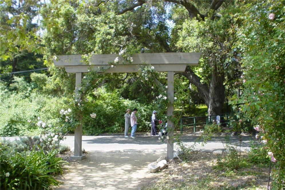 Japanese Arbor
