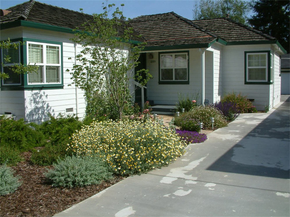 Front Driveway in Spring