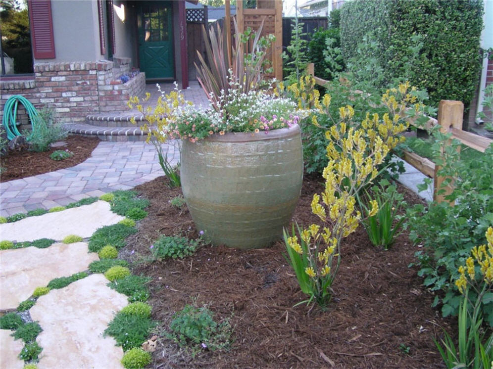 Pot in Garden