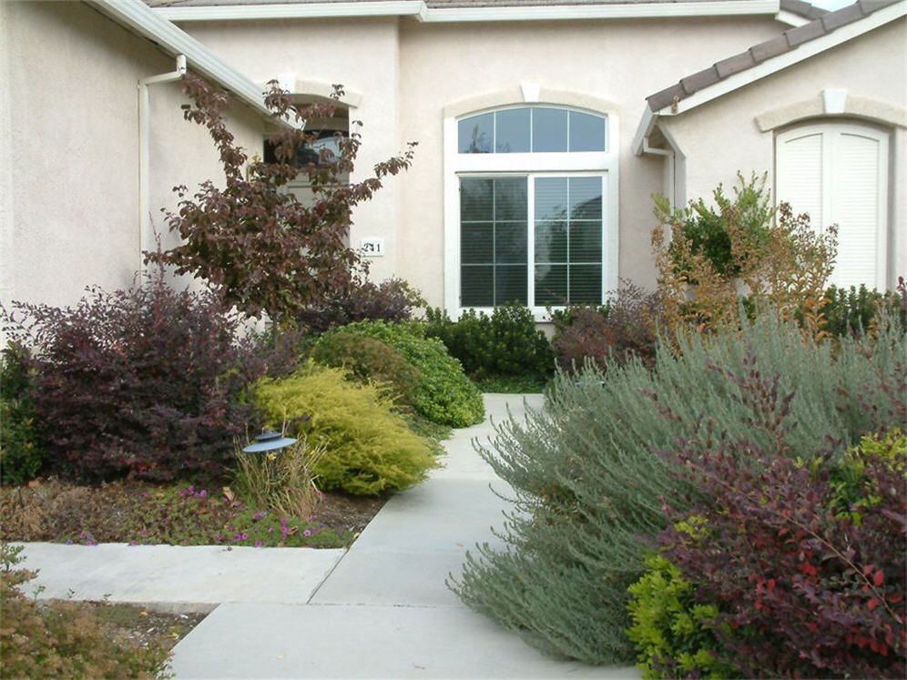 Shrub Display Entry