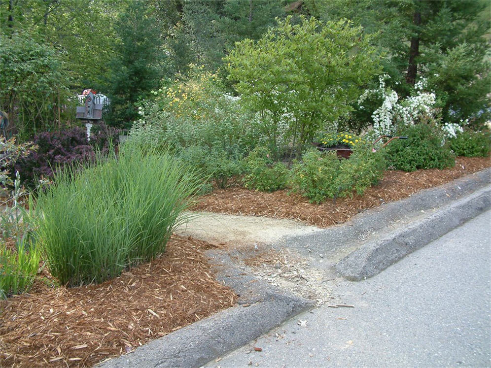 Side Street Entrance in Spring