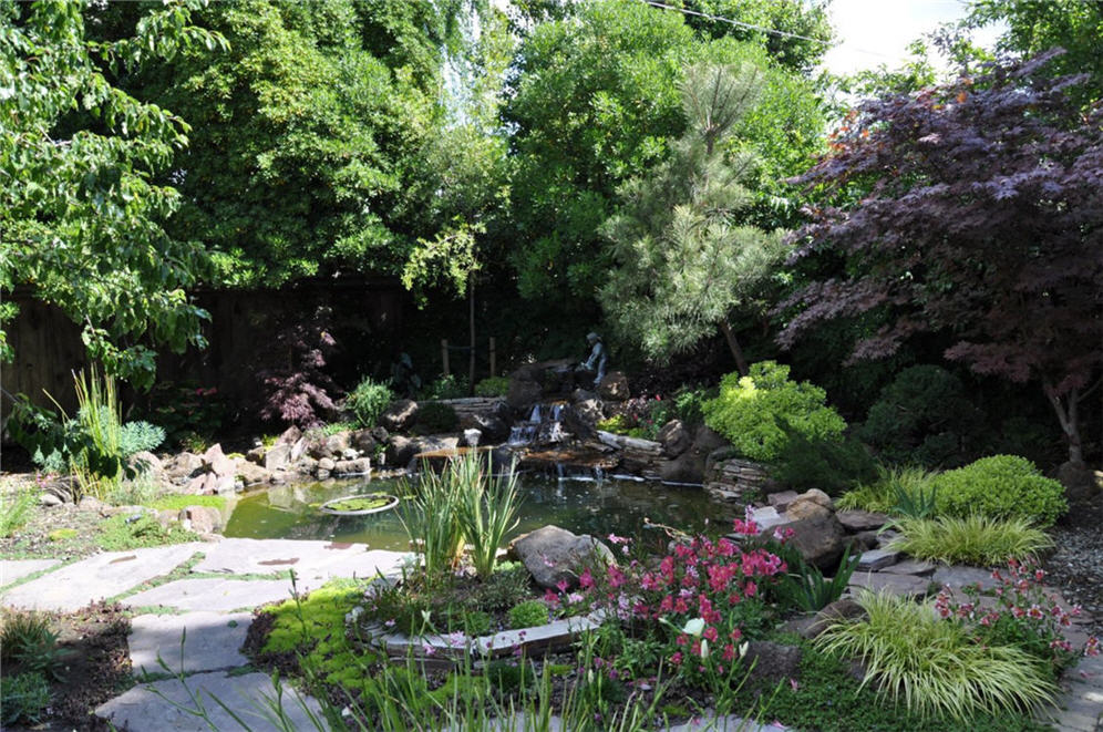 Shade Garden Pond