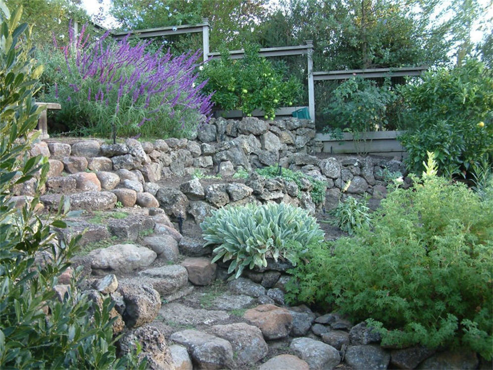 Raised Planters and Stairs