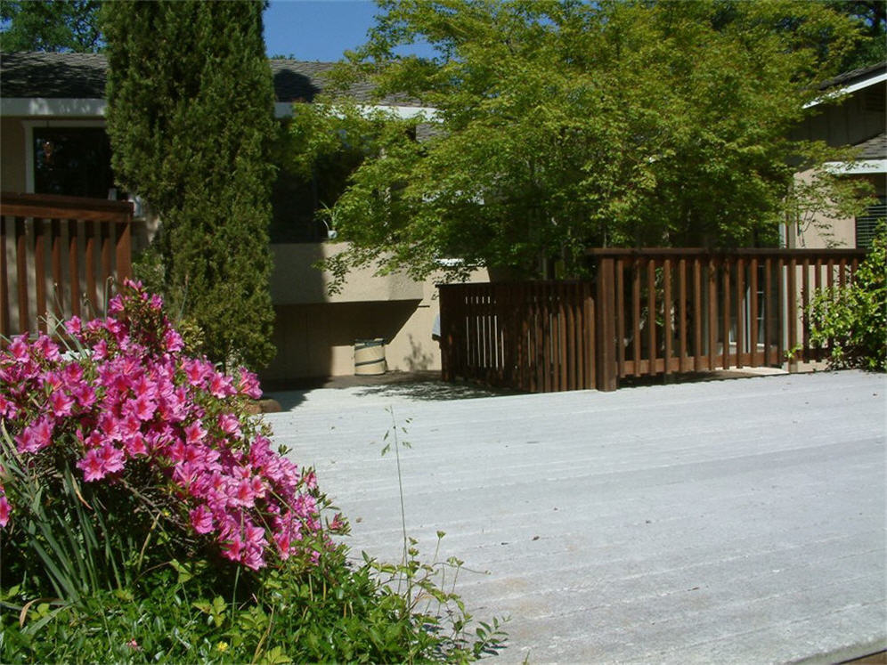 Azalea and Deck for Dancing