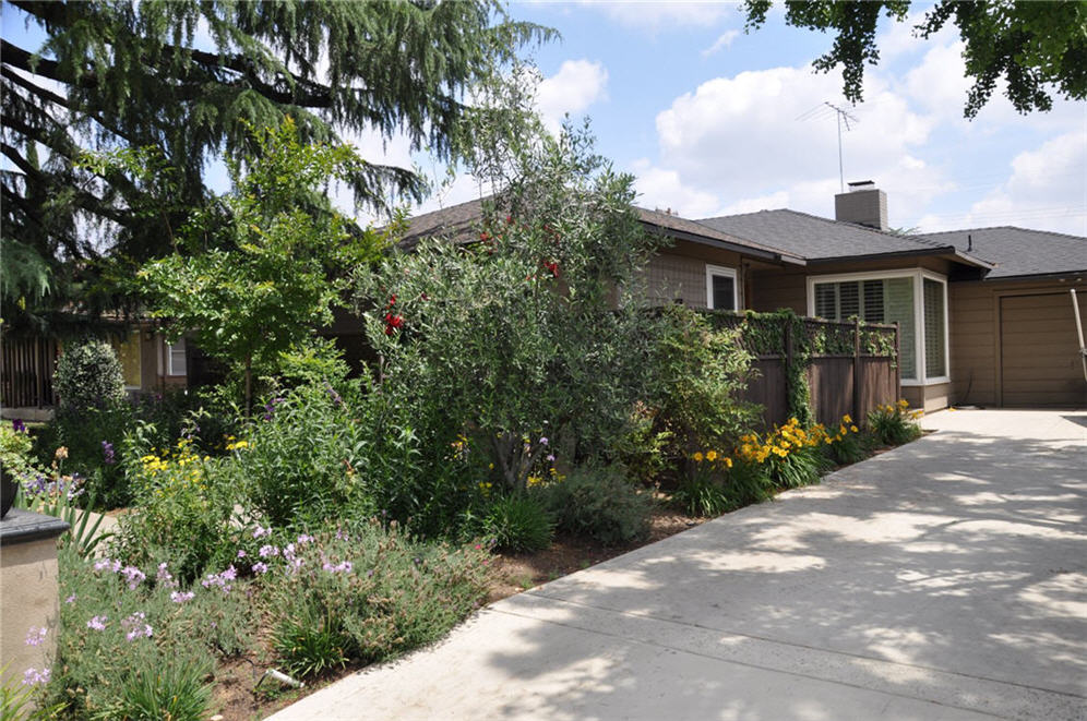 Plant Border Along Driveway