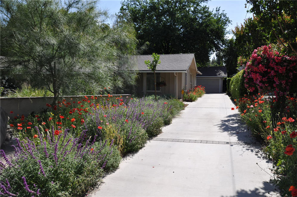 Driveway Flanked with Color