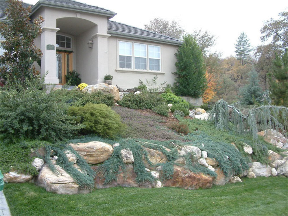 Front Yard Embankment