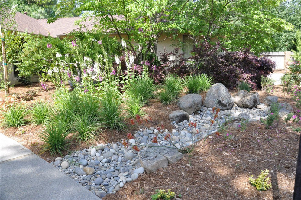 Dry Creek Bed and Perennials