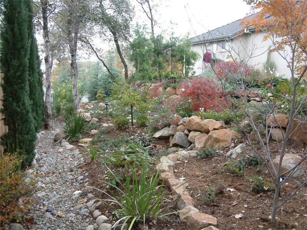 Side Planter and Gravel Walk