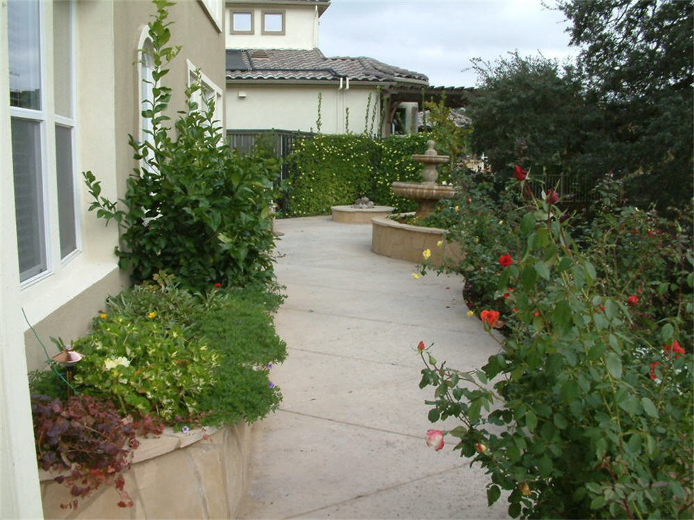 Back Patio and Raised Planter