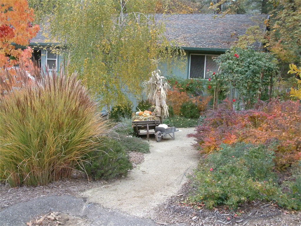 Decomposed Granite Walk in Fall