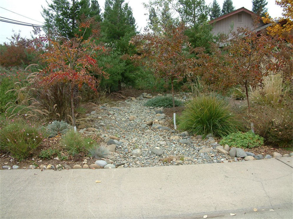 Gravel Nature Walk