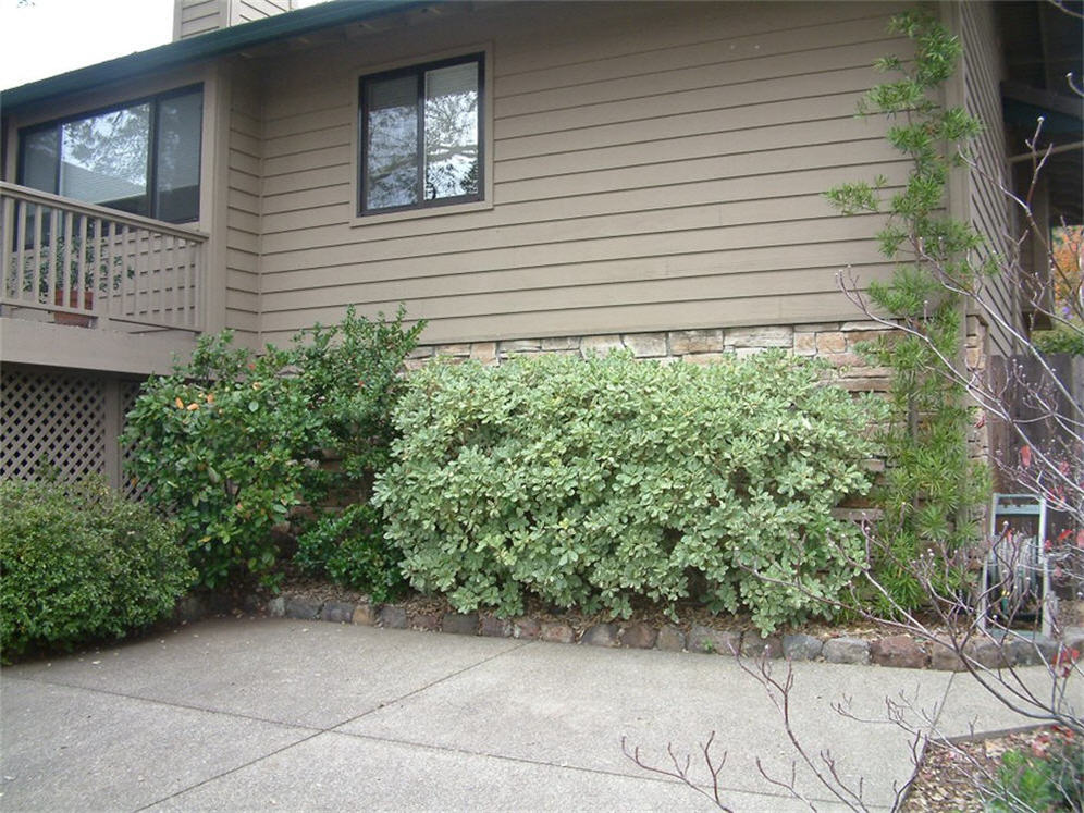 Parking Planting