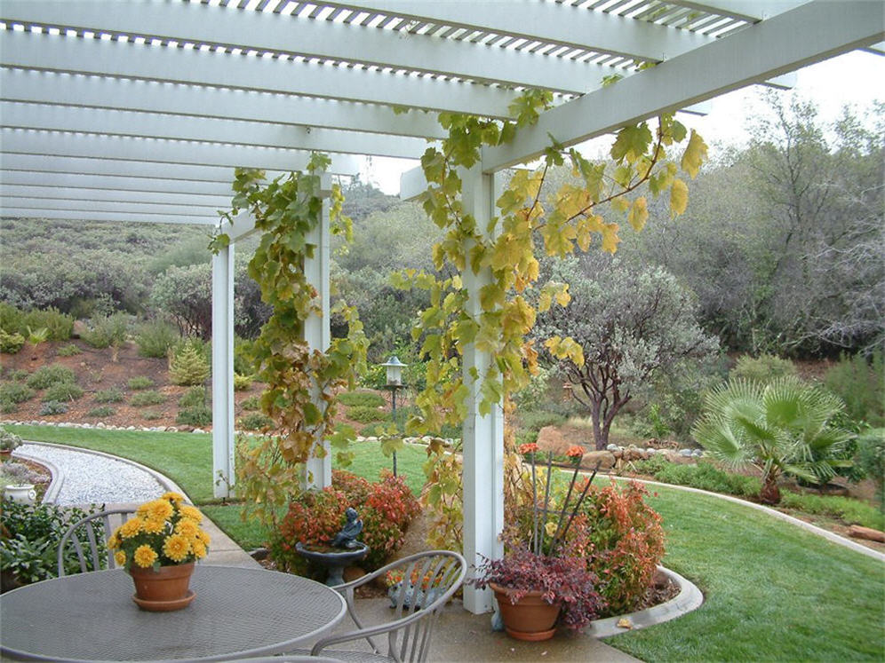 Trellis and Patio Detail