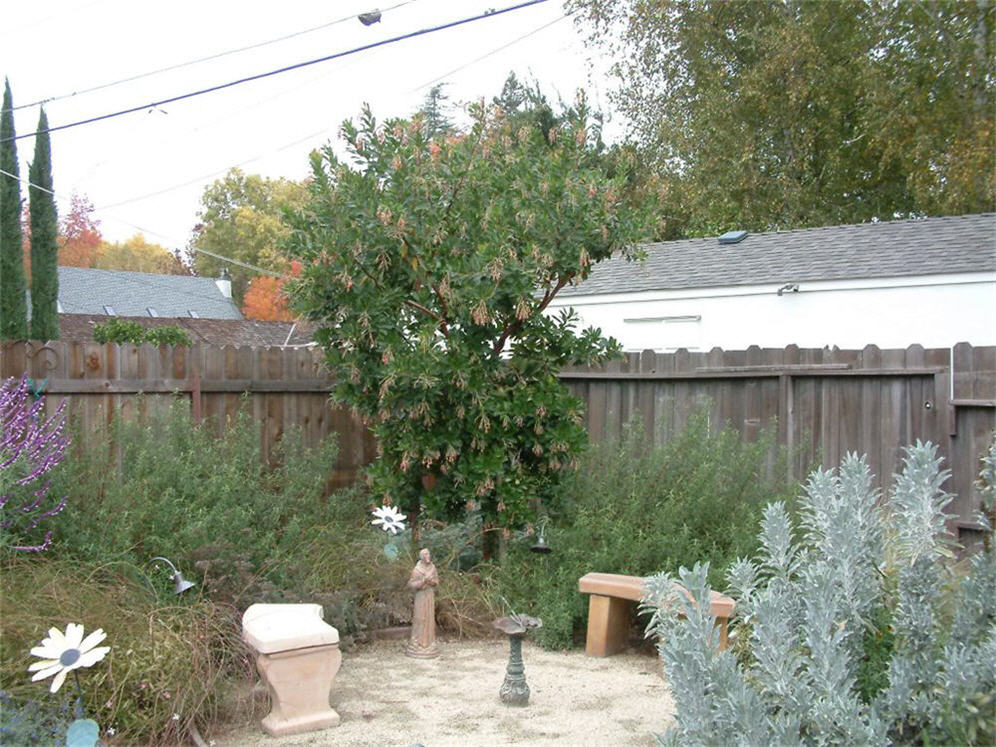 Decomposed Granite Sitting Area